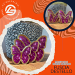 Mariposas Borde Dorado Fucsia con Destello #MBD-016