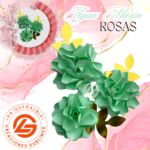 Rosa Aguamarin #ROSA-014