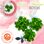 Rosa Verde Manzana #ROSA-011