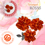 Rosas Naranja #ROSA-019