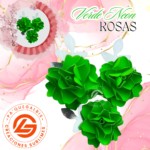 Rosas Neón Verde  #ROSAN-018