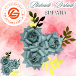 Simpatías Plateado #SIMPA-001