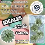 Espiral Margarita 5cm Perlado
cod. ESPMPERLADO-007
Blanco