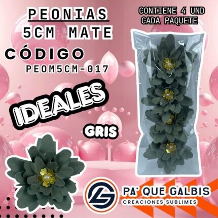 Flor Peonias 5 Cm Mate
cod. PEOM5CM-017
Gris