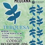 HOJAS MEDIANAS ESPIGA TURQUESA ESCARCHADAS 1 PAQUETE CONTIENE 8 UND CÓDIGO HOJAESP1M-020