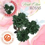 Rosas Verde Olivo #ROSAN-013