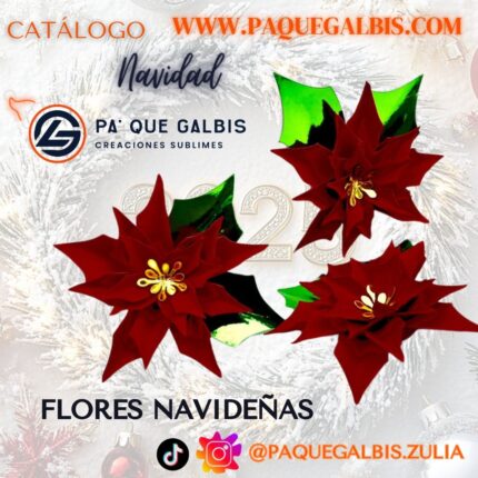 Flor Navidad cartulina