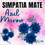 Simpatías Azul Marino Mate #006