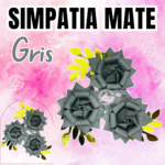 Simpatías Gris Mate #017