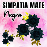 Simpatías Negro Mate #015