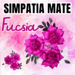 Simpatías Fucsia Mate #002